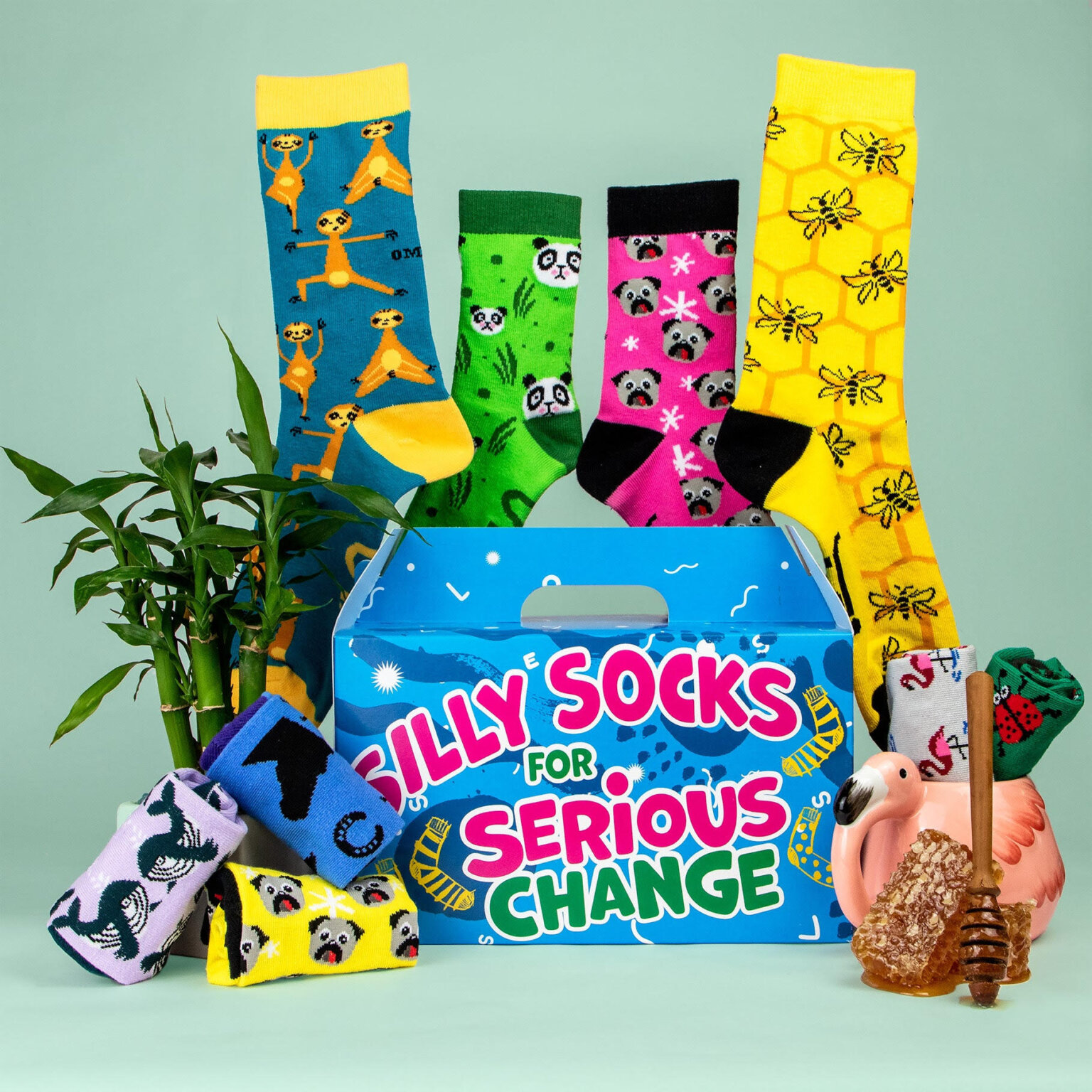 Father’s Day Socks – Dutton Park State School P&C